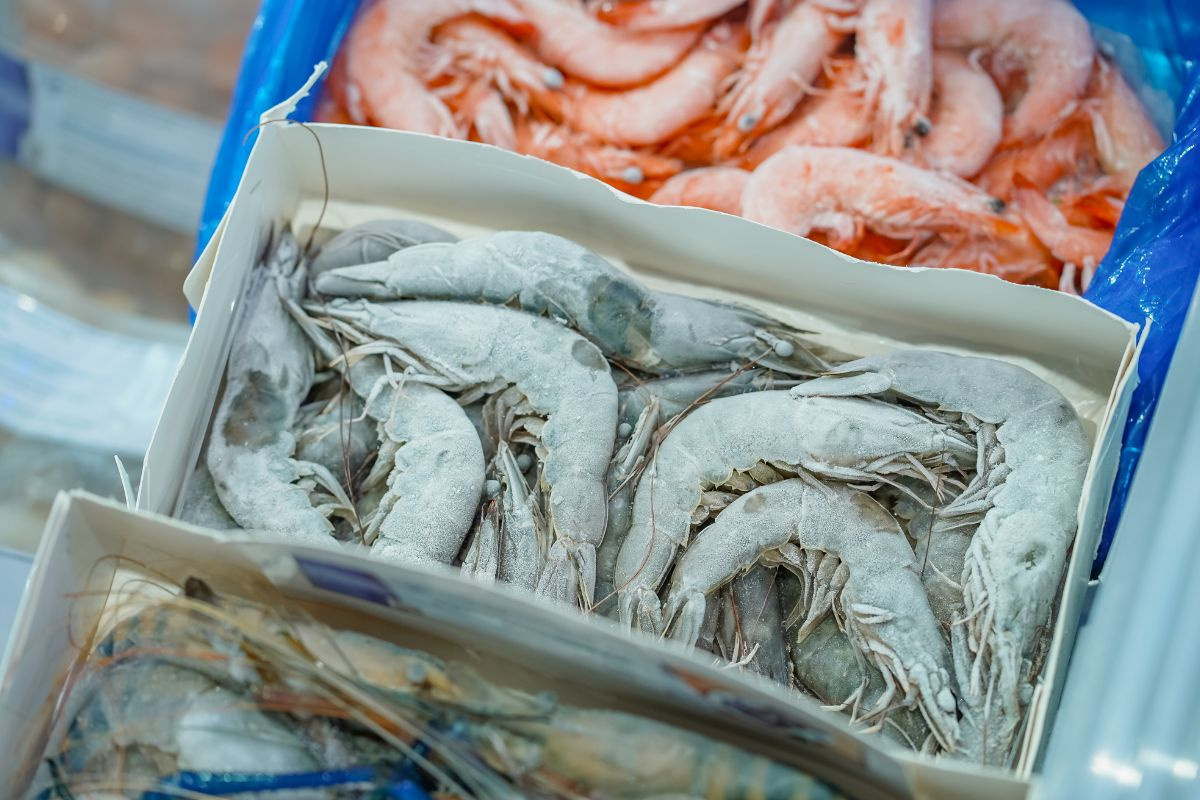 Xung đột Trung Đông và những tác động tới thị trường tôm toàn cầu