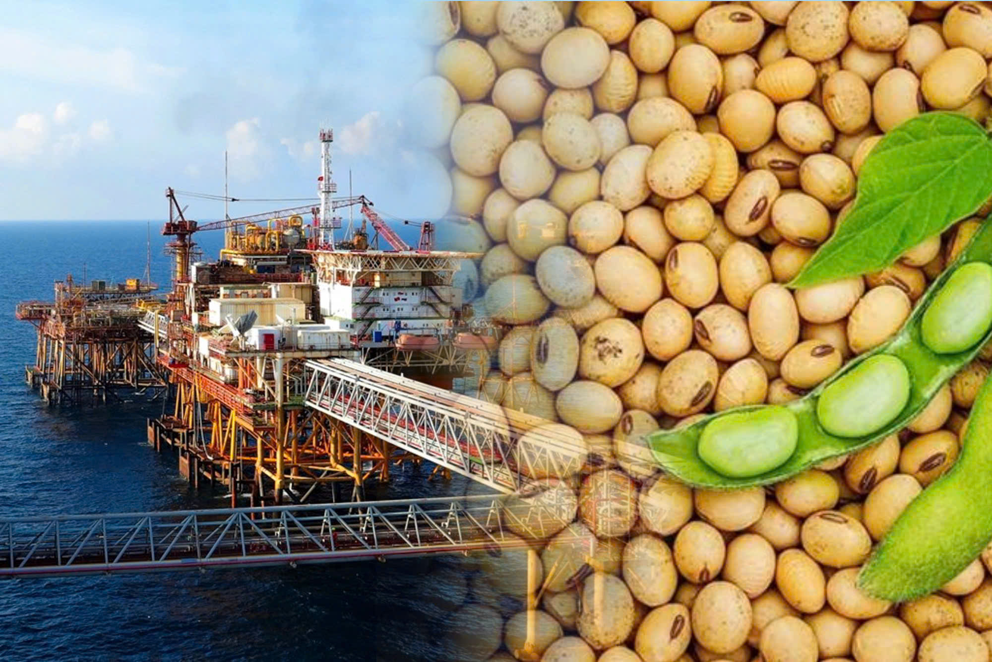 Thị trường hàng hóa 16/3: Giá dầu vượt 100 USD, sắc xanh duy trì trên thị trường nông sản