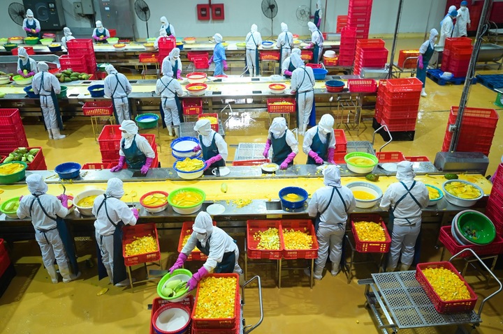 Rau quả Việt trước “cơn bão” chi phí và logistics