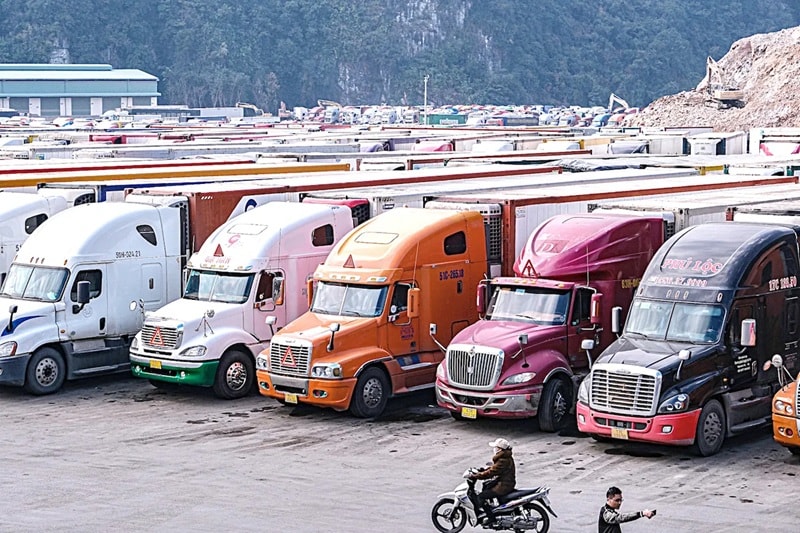 Kéo dài thời hạn tạm ngưng Nghị định 46 về an toàn thực phẩm