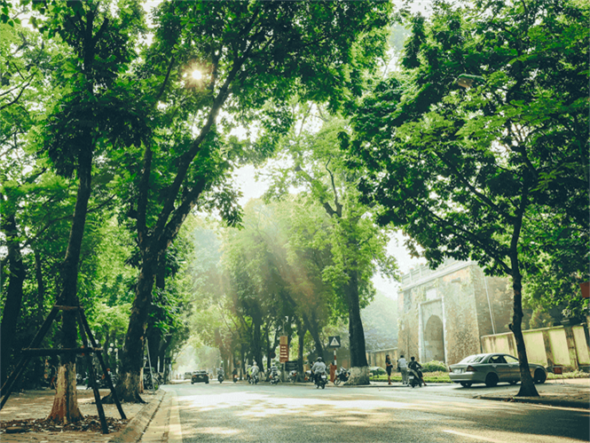 Dự báo thời tiết đêm nay và ngày mai 29/3: Hà Nội và các khu vực trên cả nước