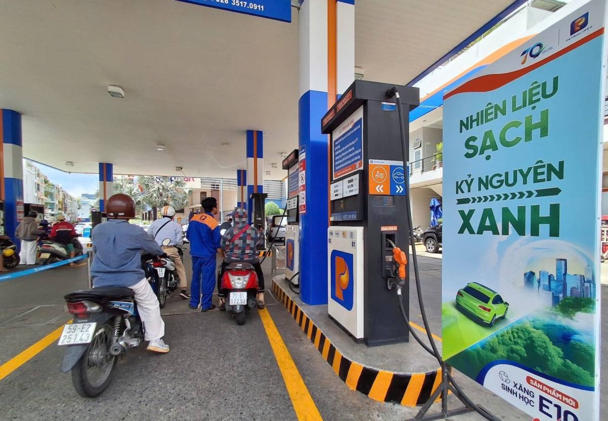 Chuyện Xăng E10 Hình dáng cây tre Việt Nam