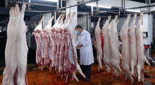 Hà Nội tổng kiểm tra, giám sát các cơ sở giết mổ 