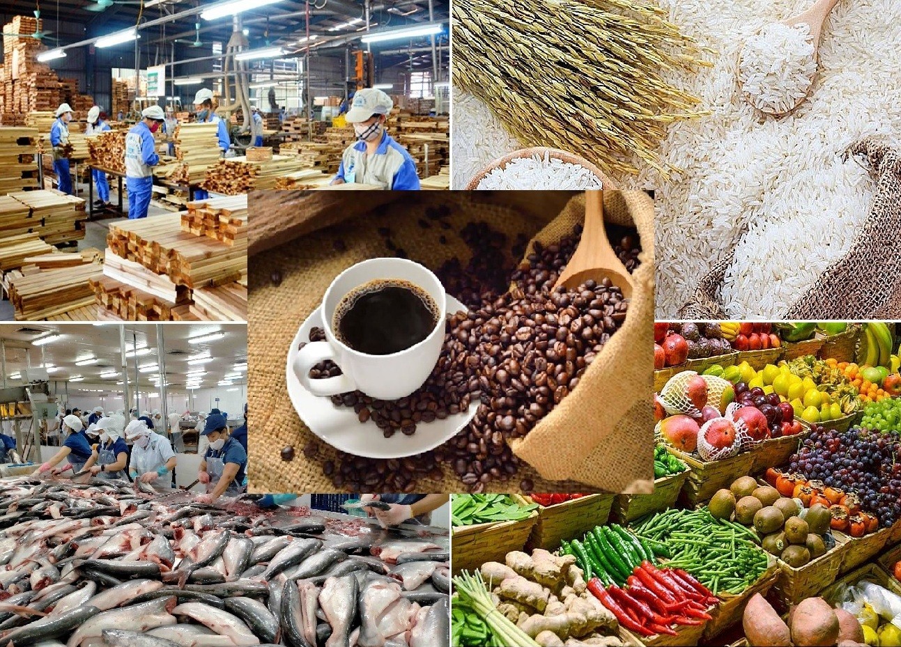 Giá nông sản hôm nay 54 Hồ tiêu quay đầu giảm, cà phê phân hóa, gạo xuất khẩu tăng mạnh