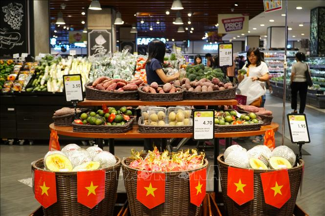 Đẩy mạnh phát triển các kênh phân phối hàng Việt Nam ở nước ngoài 