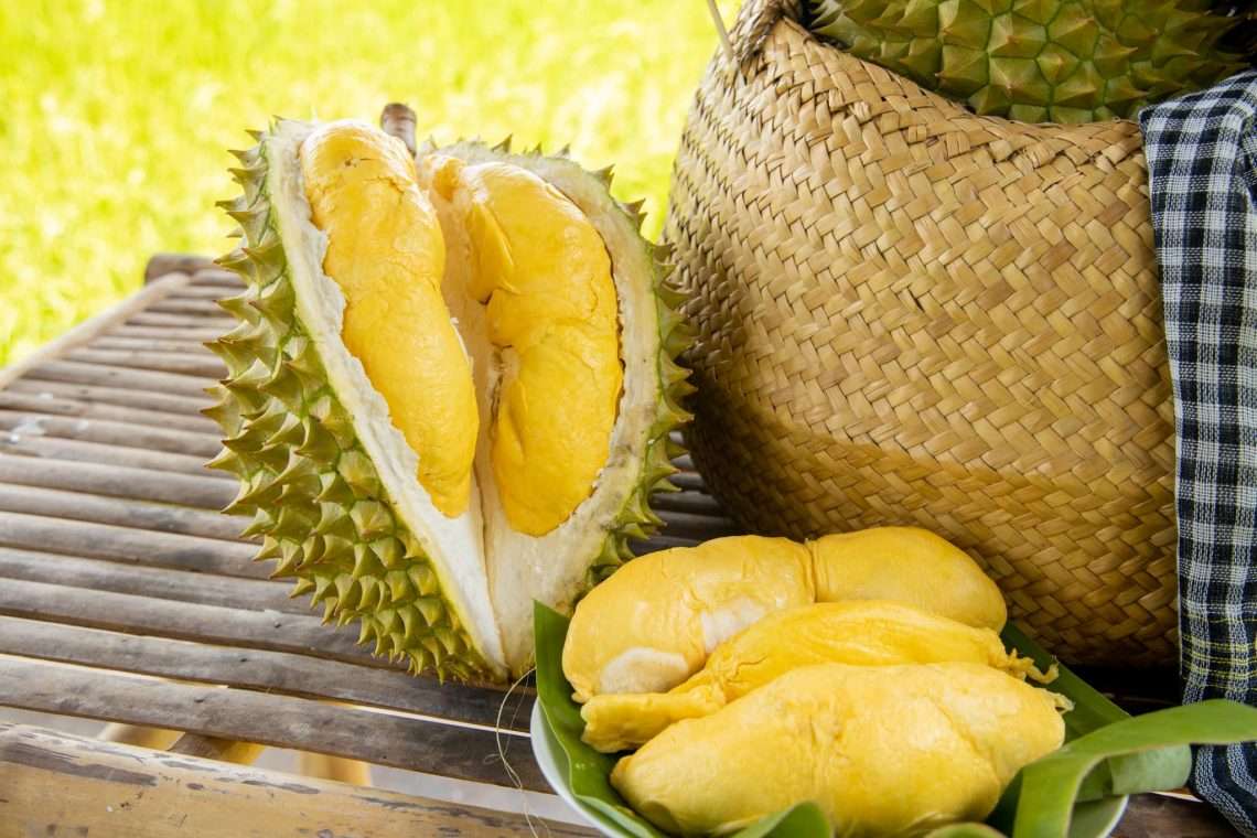 Giá sầu riêng hôm nay 8/4: Sầu Thái VIP và Musang King giữ mức cao
