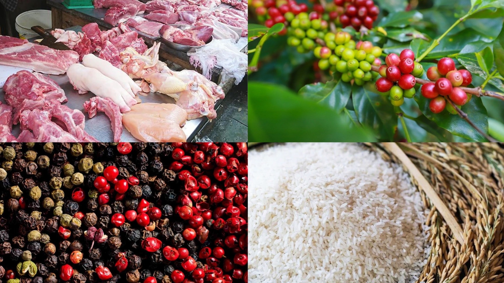 Giá nông sản hôm nay 10/4: Cà phê phục hồi, hồ tiêu giảm nhẹ, gạo đi ngang