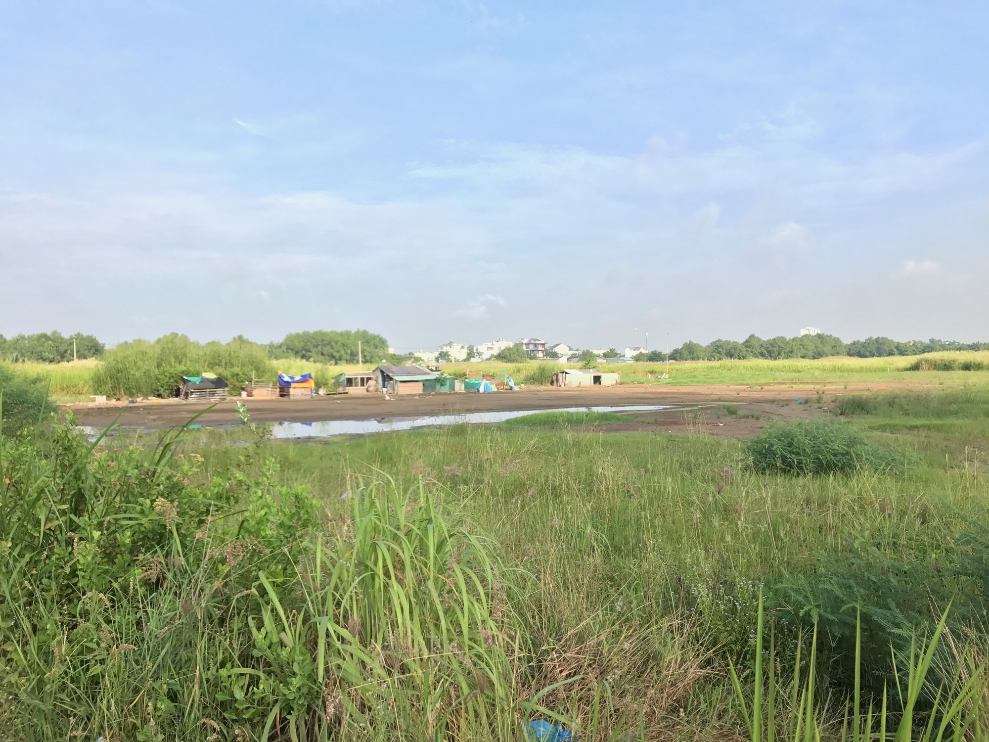 TP.HCM đưa 2 vụ việc lãng phí vào diện theo dõi