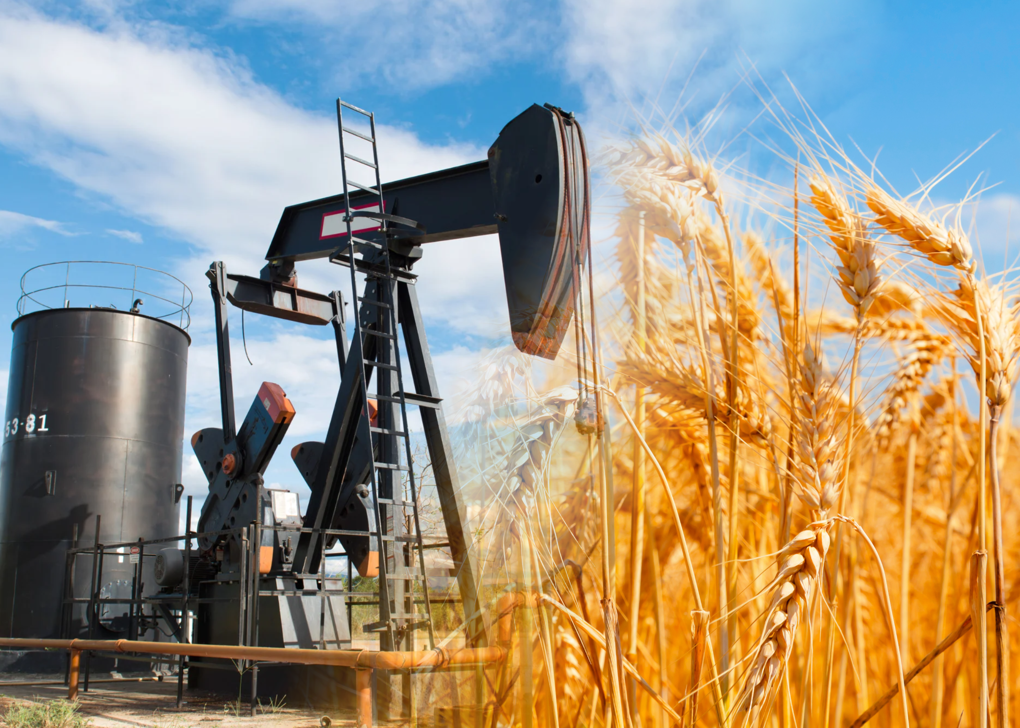 Thị trường hàng hóa 174 Lực mua lan tỏa trên thị trường