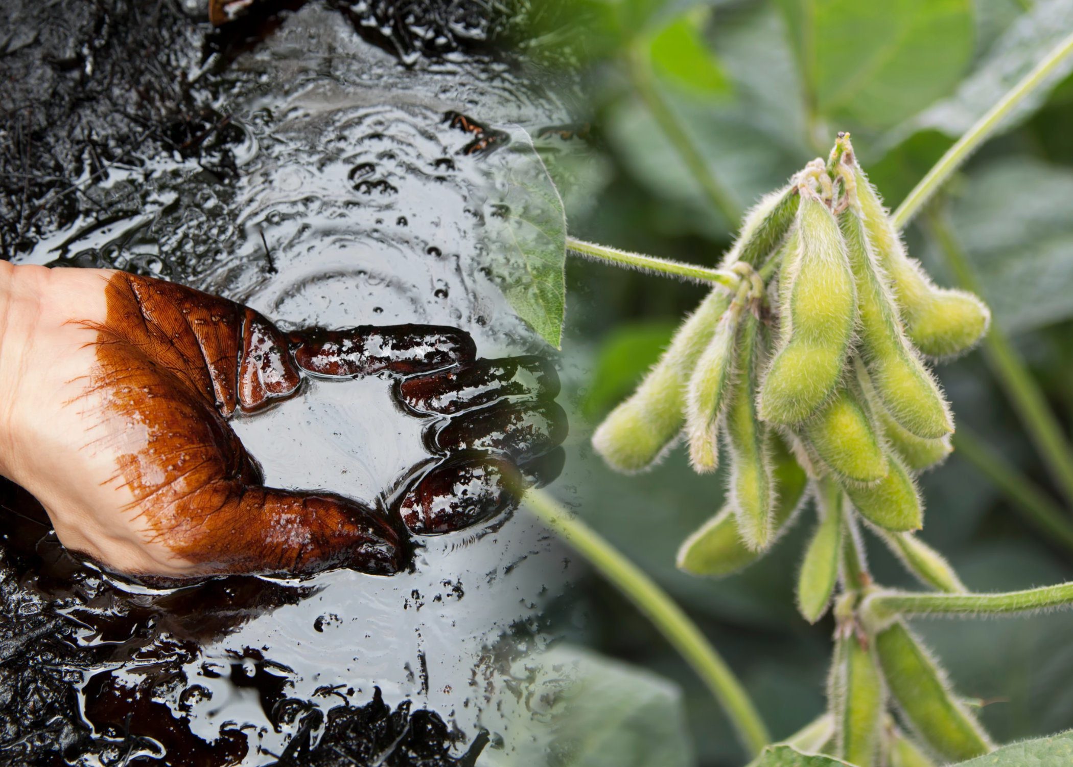 Thị trường hàng hóa 284 Chịu chi phối bởi căng thẳng địa chính trị tại Trung Đông