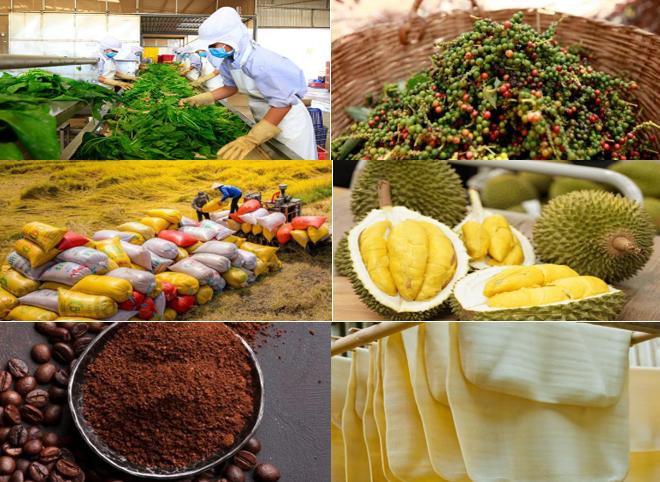 Giá nông sản hôm nay 294 Hồ tiêu đi ngang, cà phê giảm, lúa gạo lặng sóng