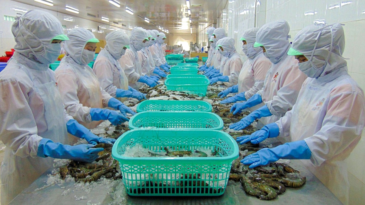 Thực phẩm Sao Ta (FMC) hụt doanh thu tháng 4, tiêu thụ tôm tiếp tục lao dốc