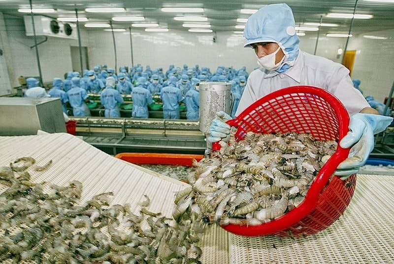 Cảnh báo về sở hữu trí tuệ từ Hoa Kỳ Doanh nghiệp thủy sản cần chủ động rà soát hồ sơ tuân thủ