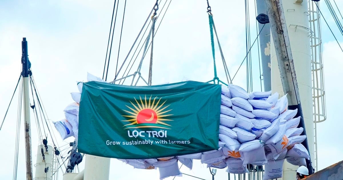 Lộc Trời (LTG) hé lộ kế hoạch phục hồi sau biến cố công nợ và mất khả năng thanh toán