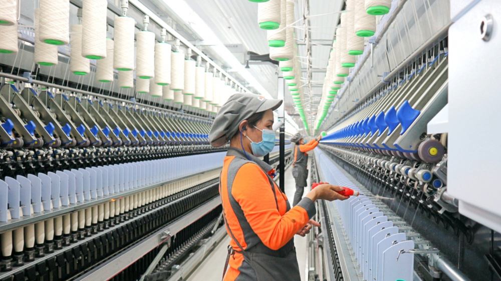 Sợi Thế Kỷ (STK) dự kiến phát hành hơn 14 triệu cổ phiếu trả cổ tức, lợi nhuận quý I chuyển sang thua lỗ