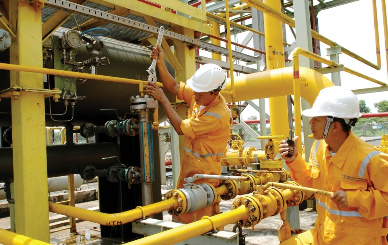 Phân phối Dầu khí (PSD) hoàn tất phát hành ESOP, vốn điều lệ vượt 540 tỷ đồng