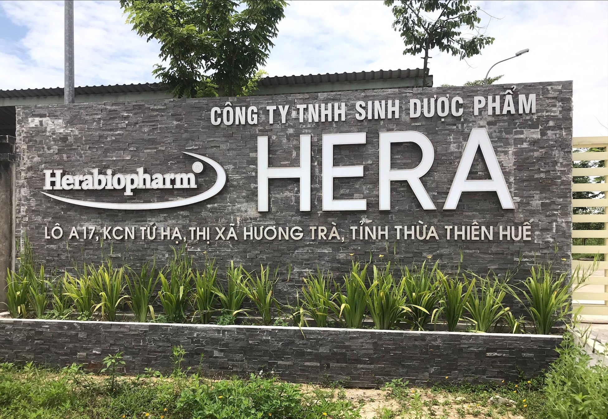 Hera Biopharm bị phạt 245 triệu đồng, tước chứng chỉ hành nghề dược của người phụ trách chuyên môn