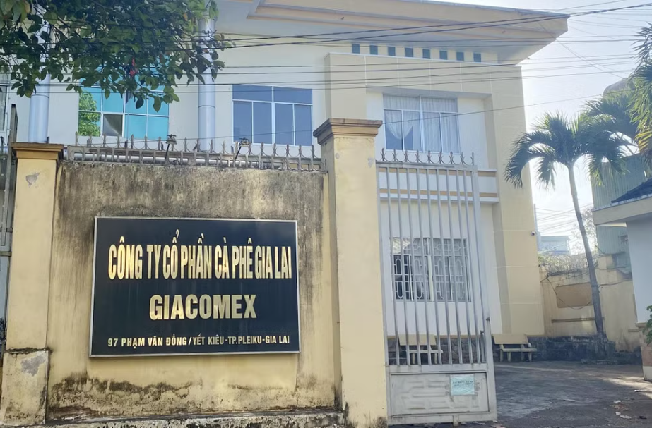 Nhiều vi phạm trong cổ phần hóa tại Công ty TNHH MTV cà phê Gia Lai
