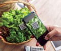 Xuất siêu hơn 7 tỷ USD ngành nông nghiệp chuẩn bị kịch bản ứng phó biến động thương mại toàn cầu 