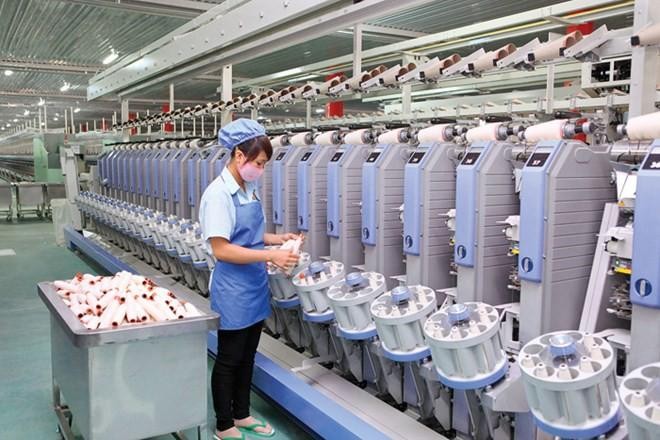 Damsan (ADS) sắp chi hơn 76 tỷ đồng trả cổ tức tiền mặt, Chủ tịch dự thu hơn 12 tỷ đồng