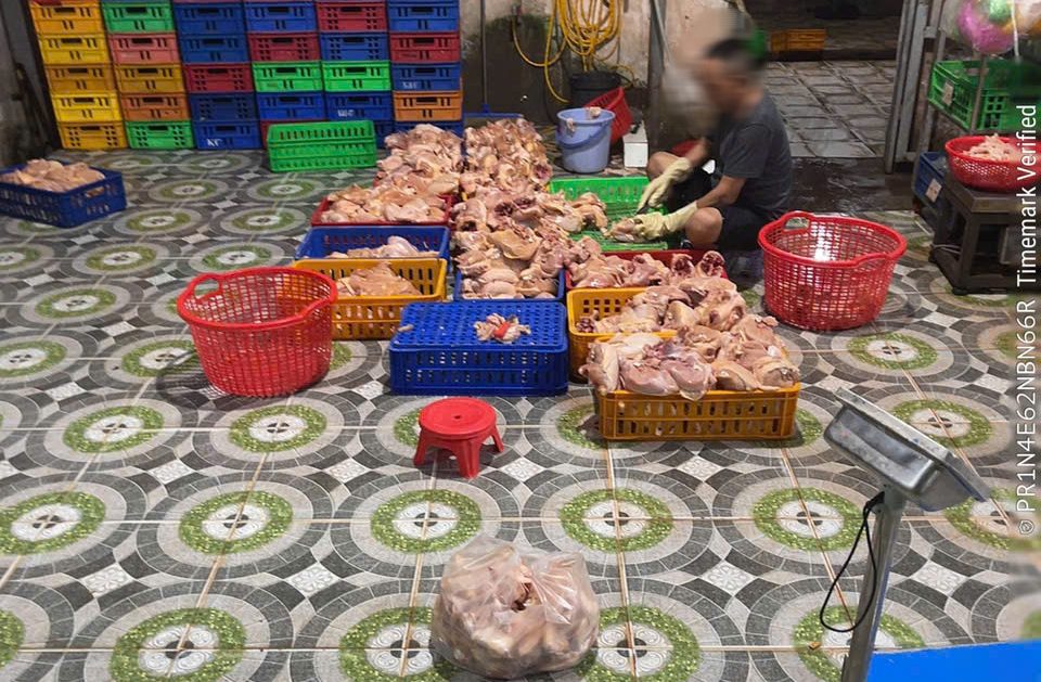 TP.HCM tăng cường quản lý an toàn thực phẩm đối với thịt và sản phẩm từ thịt