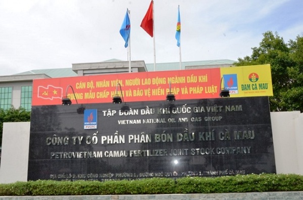 Phân bón Cà Mau (DCM) chuẩn bị chi gần 1.060 tỷ đồng trả cổ tức tiền mặt
