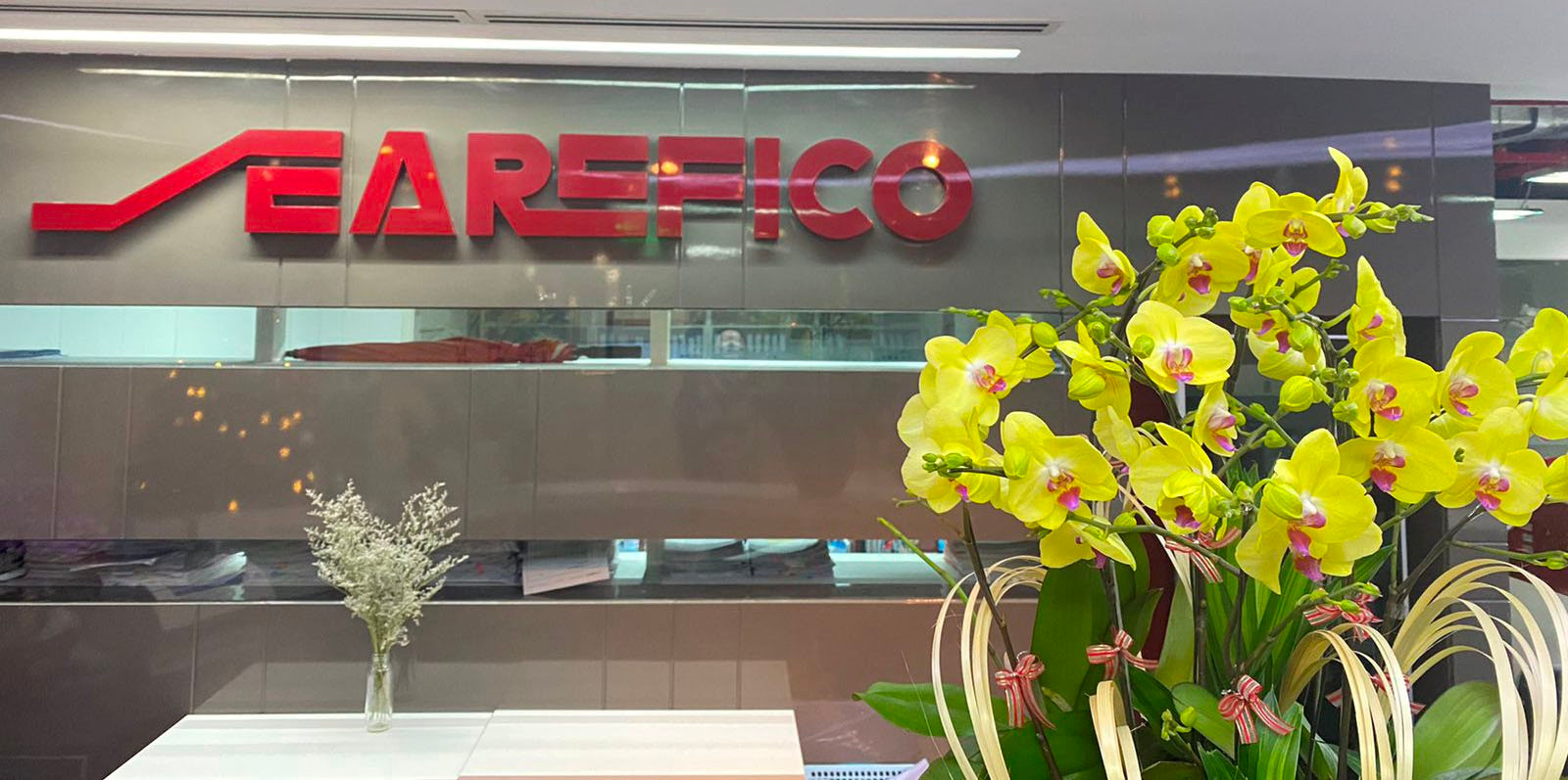 Searefico (SRF) liên tiếp lập công ty con sau khi thu hơn 500 tỷ đồng từ thương vụ Arico