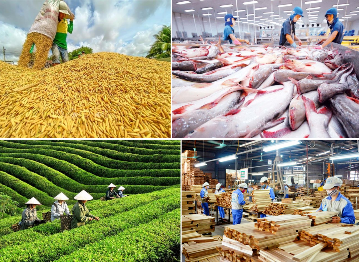 Mục tiêu xuất khẩu nông, lâm, thủy sản đạt 100 tỷ USD Phải có đột phá thực sự