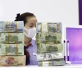 Ngân hàng Nhà nước hút ròng hơn 31.300 tỷ đồng tỷ giá vẫn ổn định