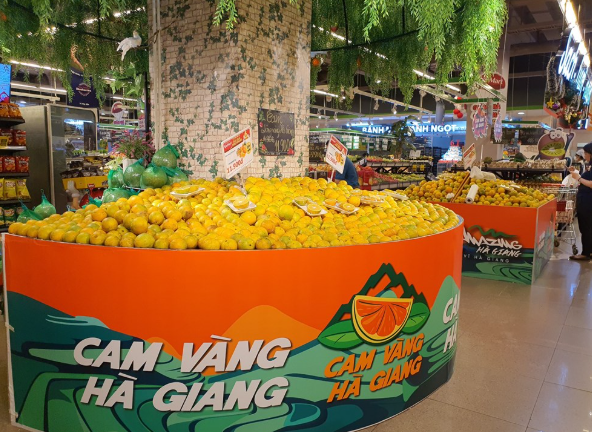 Kỳ 1: “Ngôi sao” OCOP và bài toán làm sao để bán được hàng