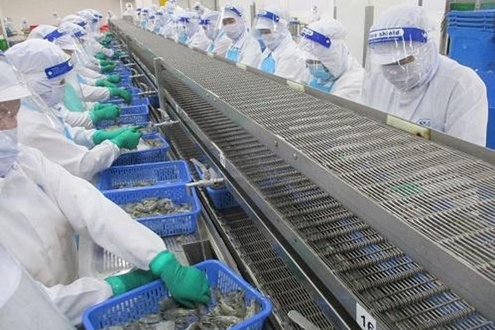 Minh Hải Jostoco (JOS) tiếp tục thua lỗ, vốn chủ sở hữu âm hơn 512 tỷ đồng