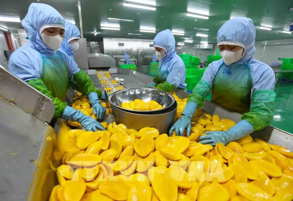 Xuất khẩu nông sản và thực phẩm chế biến Hóa giải “điểm nghẽn” để tạo bứt phá 