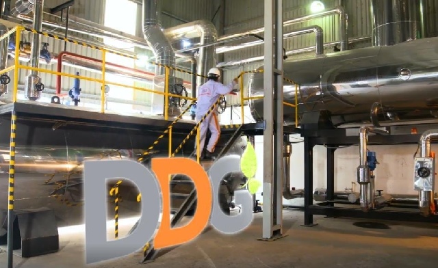 DDG tiếp tục tổ chức bất thành ĐHĐCĐ lần hai
