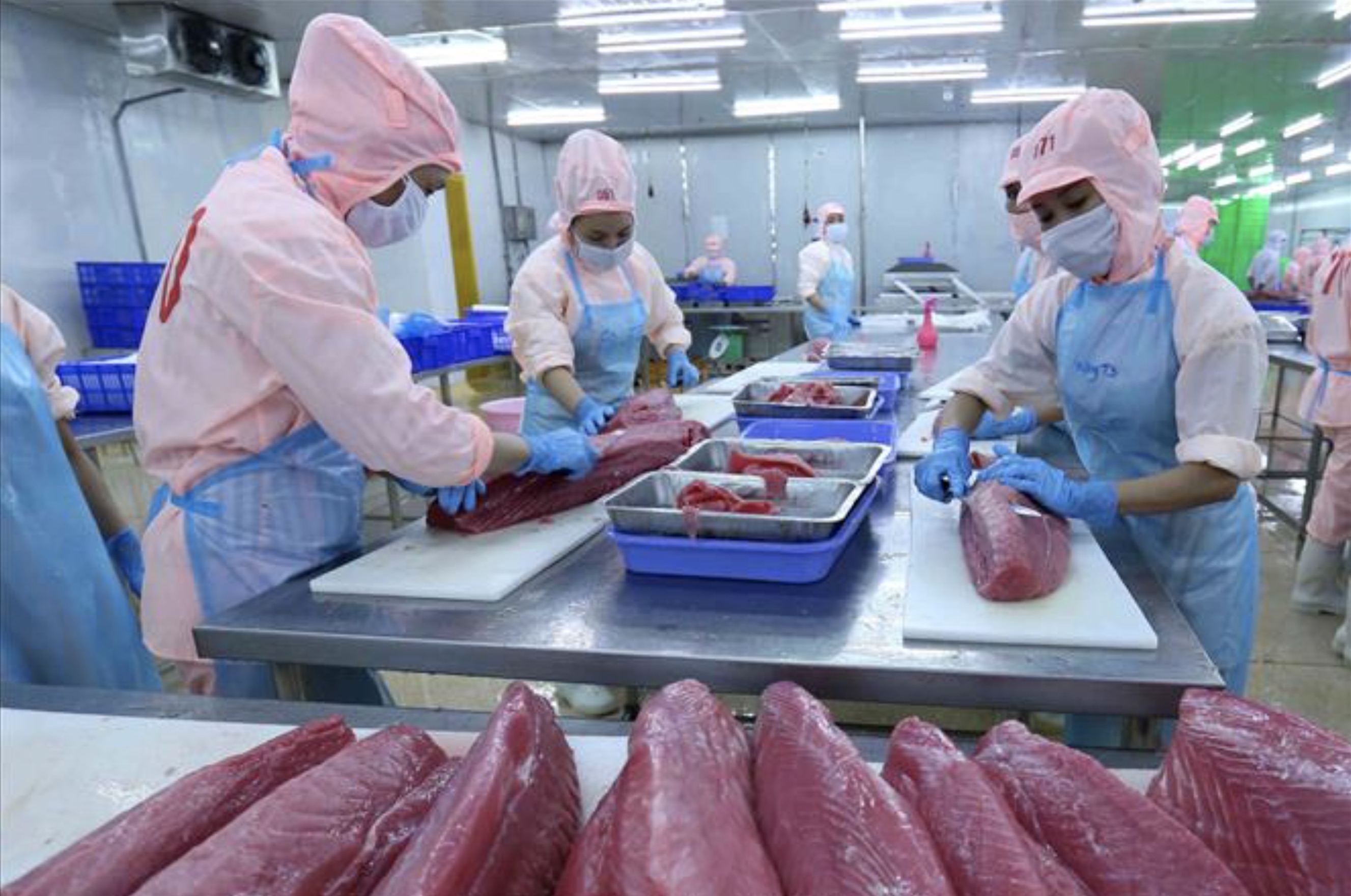 CPTPP thúc đẩy kết nối thương mại và đầu tư trong giai đoạn mới