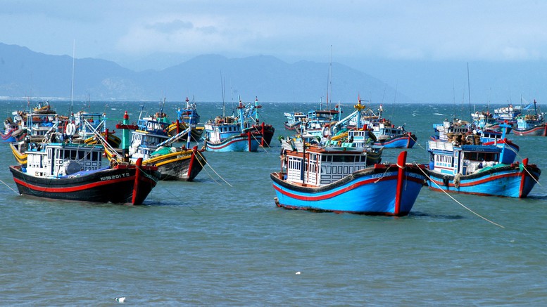 Dồn toàn bộ công sức để gỡ thẻ vàng IUU trong năm 2026