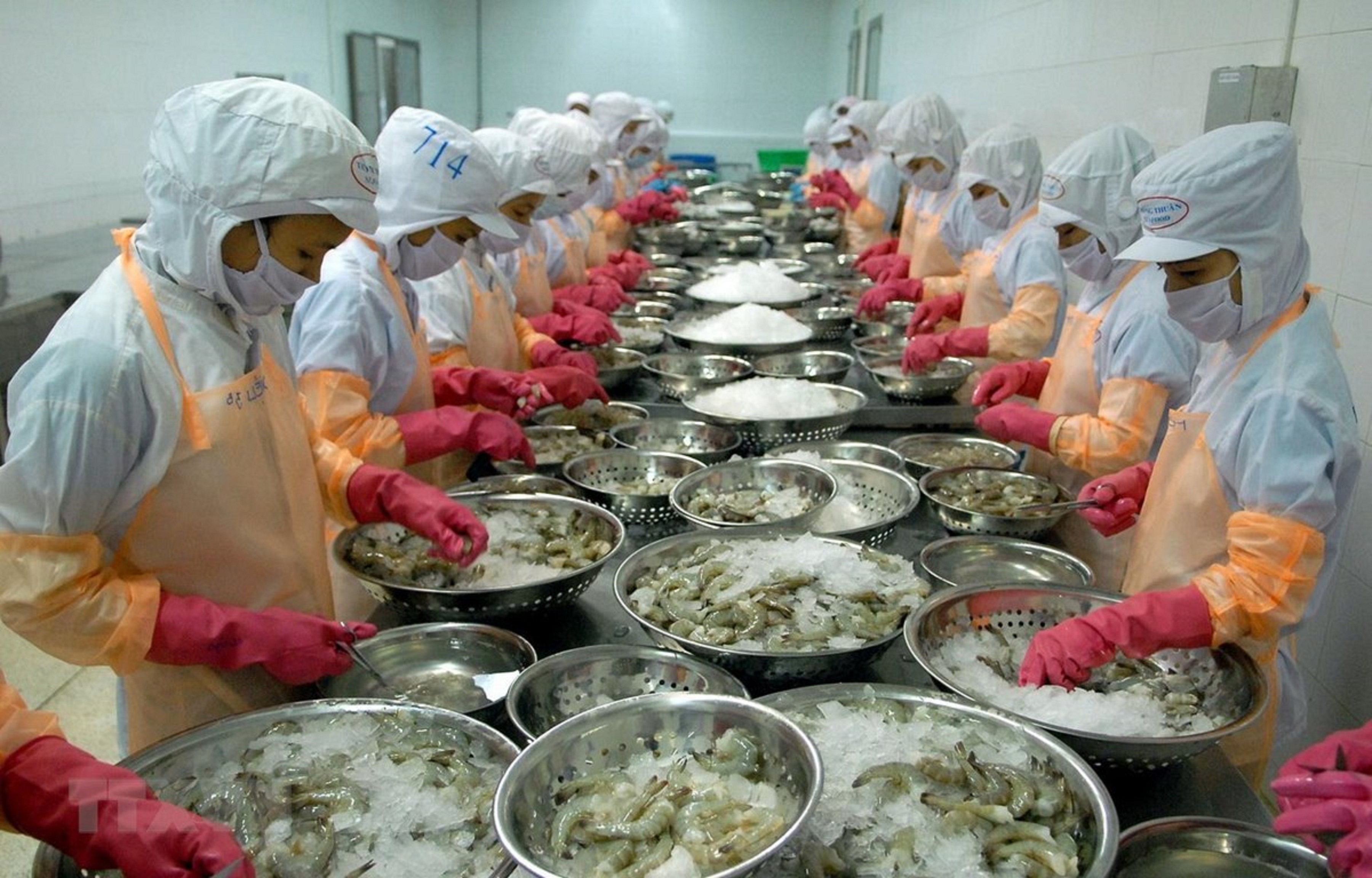 Thuế Section 301 của Hoa Kỳ Làm thay đổi cuộc đua cạnh tranh của thủy sản Việt