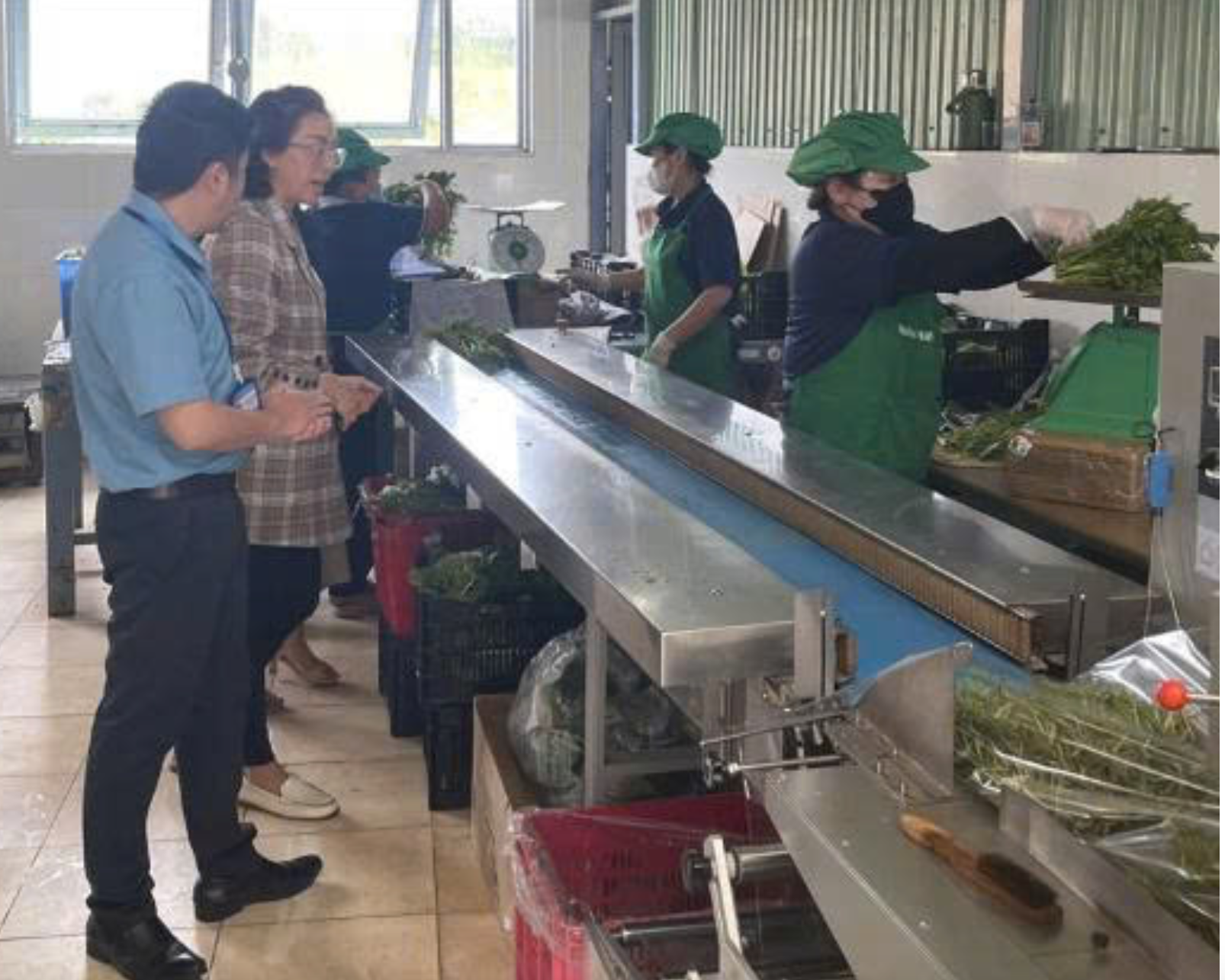 Lâm Đồng kiểm tra 169 cơ sở nông lâm thủy sản, xử phạt 15 cơ sở vi phạm an toàn thực phẩm