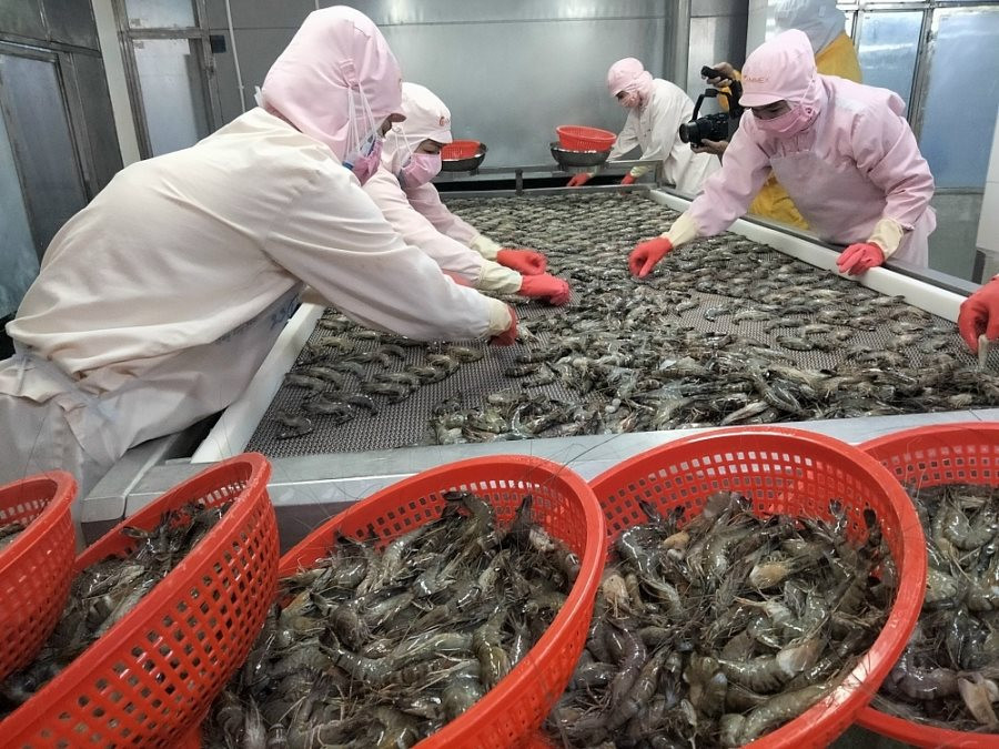 Thuế Section 301 sẽ tác động thế nào đến xuất khẩu thủy sản giai đoạn tới?