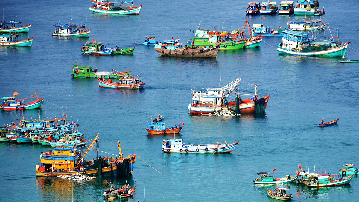 Nghị quyết 20-NQTW mở hướng phát triển thủy sản hiện đại, công nghệ cao và bền vững