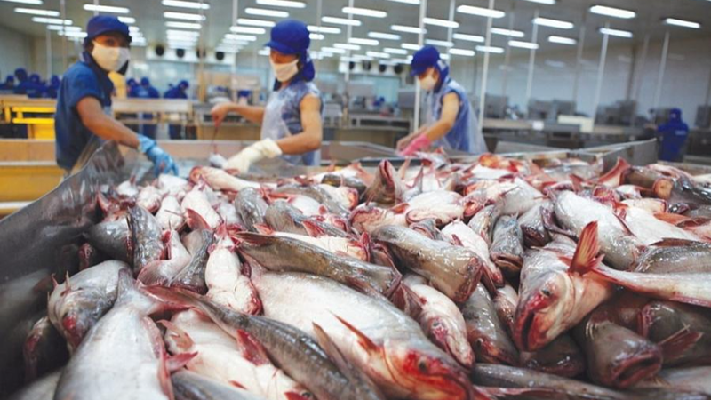 Xuất khẩu thủy sản đạt gần 6,8 tỷ USD sau 7 tháng, đà tăng có dấu hiệu chững lại