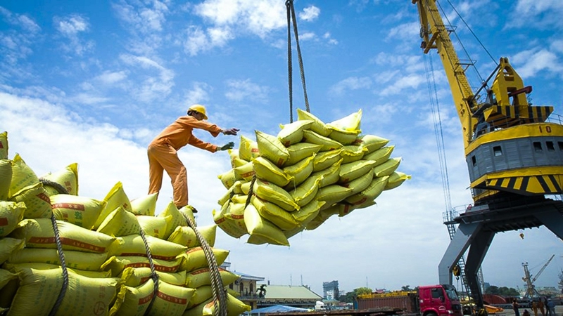 Tháo gỡ rào cản cho doanh nghiệp xuất khẩu gạo