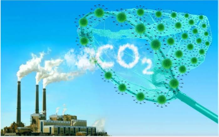 Sàn carbon Việt Nam vẫn còn “đìu hiu” hay đang ở giai đoạn tích lũy?