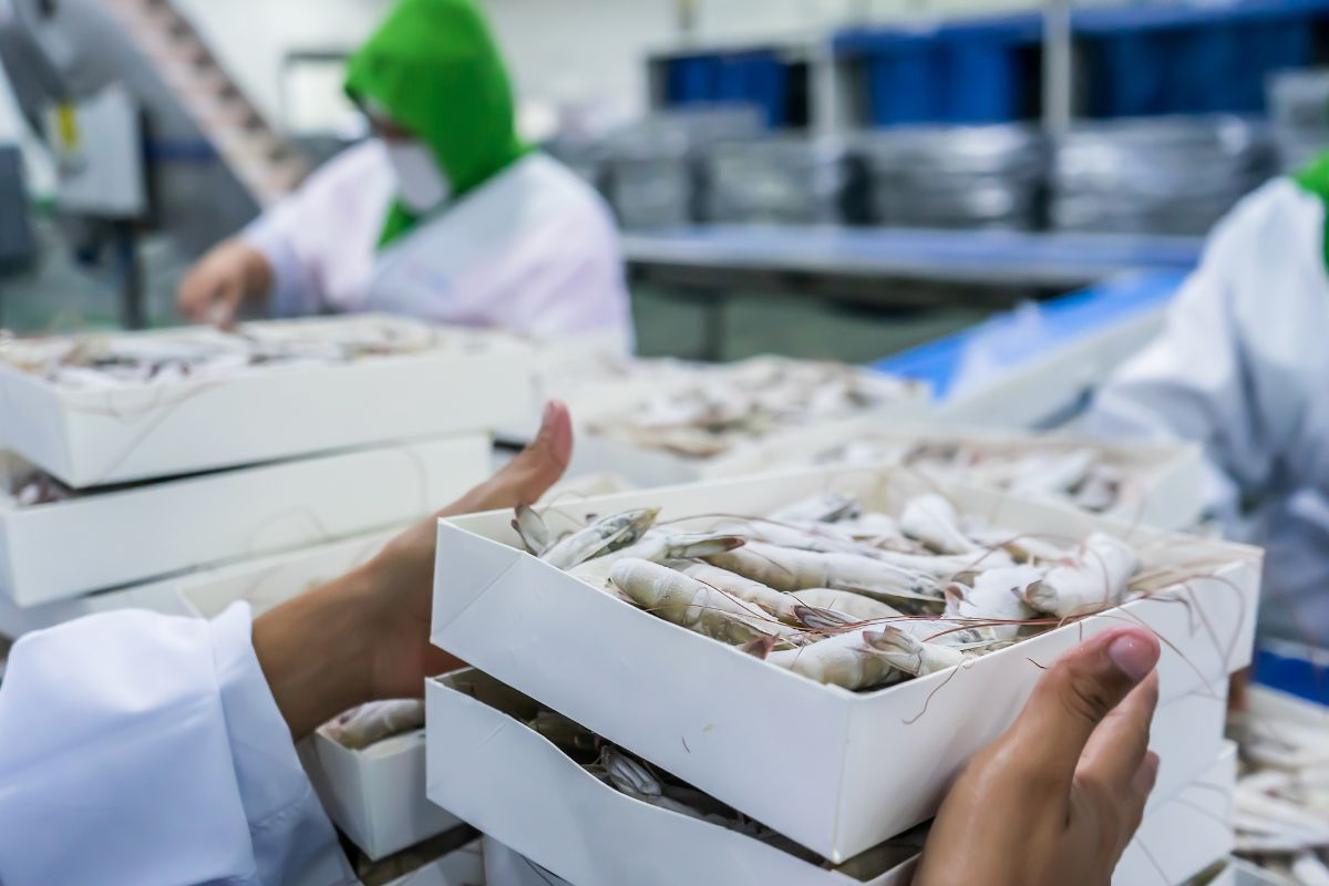 Quy định mới của EU về bao bì bắt đầu có hiệu lực, doanh nghiệp cần làm gì để kích ứng?