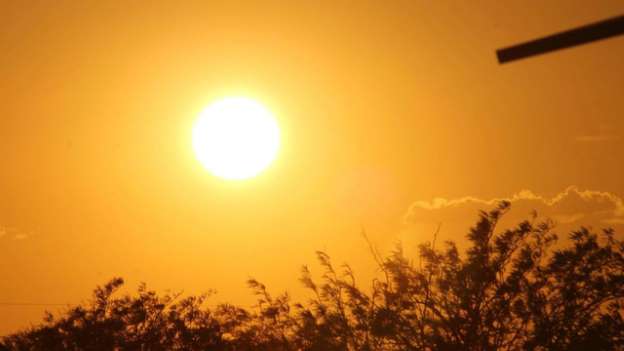 El Niño trở lại Giá cà phê, gạo và thực phẩm tại Việt Nam có thể sớm bị tác động