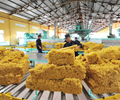 Trung Quốc giảm mạnh nhập khẩu giá cao su xuất khẩu vẫn lập đỉnh 12 năm 
