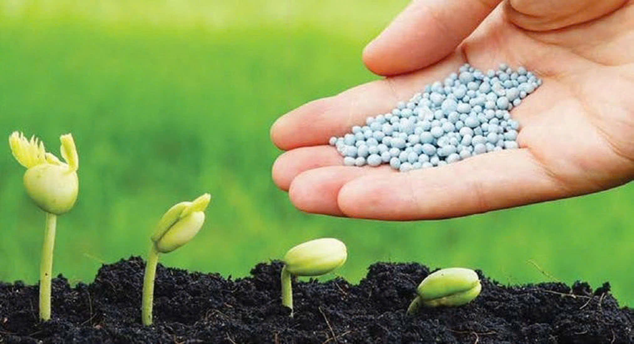 Xuất khẩu phân bón tháng 7 giảm mạnh, triển vọng giá cuối năm còn nhiều biến động