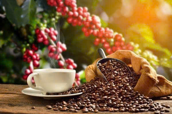 Thị trường cà phê phân hóa: Robusta chịu áp lực, arabica được hỗ trợ bởi nguồn cung