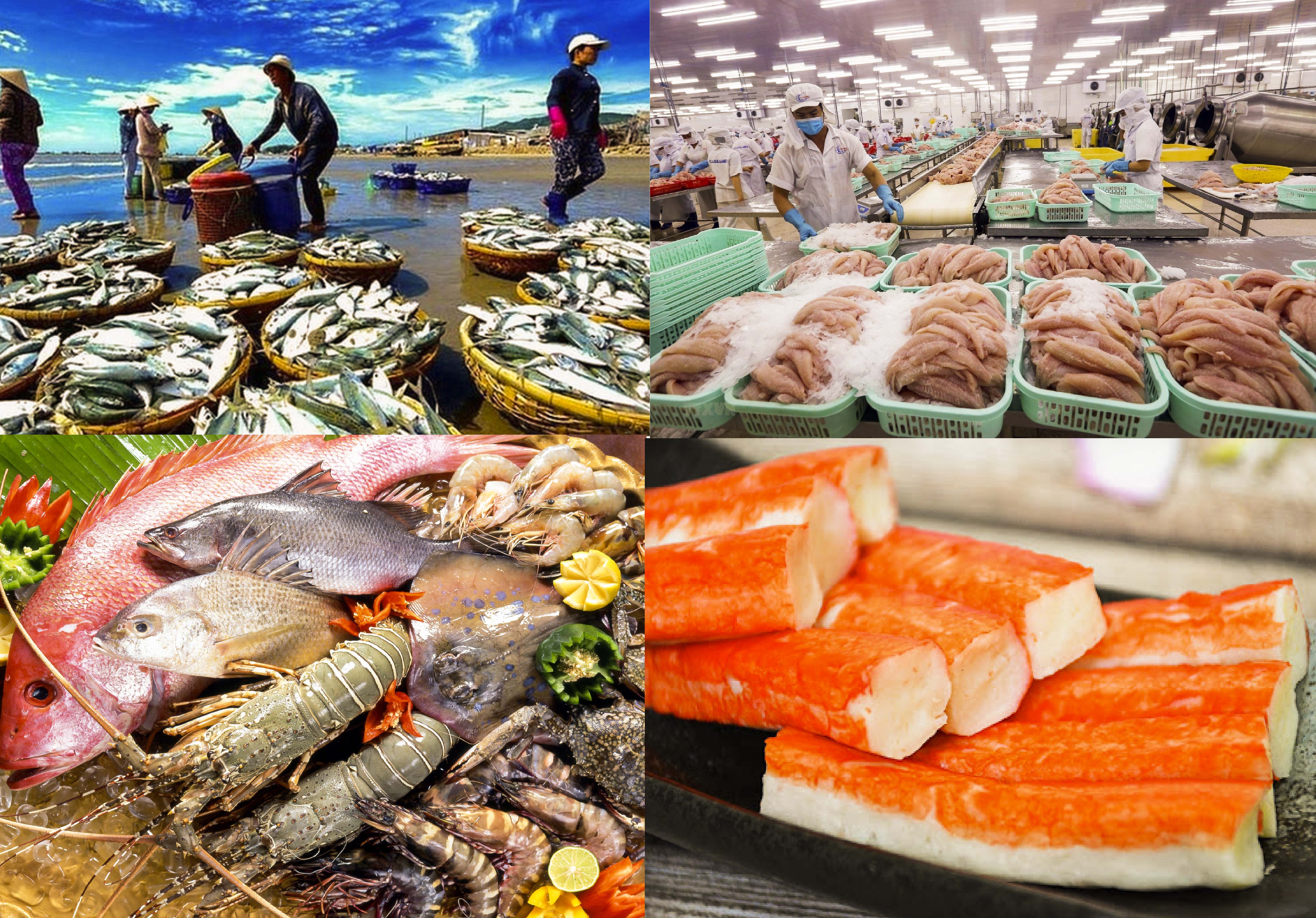 Thủy sản Việt Nam trước sức ép thuế Mỹ Lợi thế cạnh tranh phải vượt khỏi giá bán