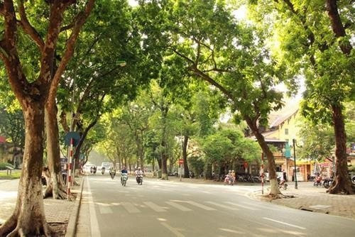 Dự báo thời tiết đêm nay và ngày mai 79 Hà Nội và các khu vực trên cả nước