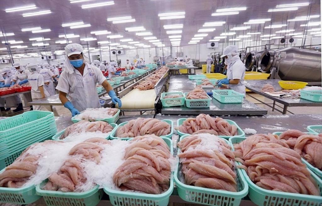 Xuất khẩu thủy sản: Xây thêm các trụ tăng trưởng đủ lớn để giảm rủi ro